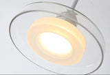 The opal ring lit inside the clear disc seen from slightly below