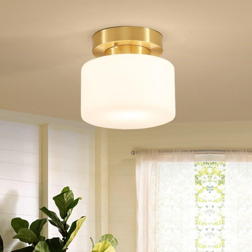 Brass and white glass ceiling light near a window with a trailing plant