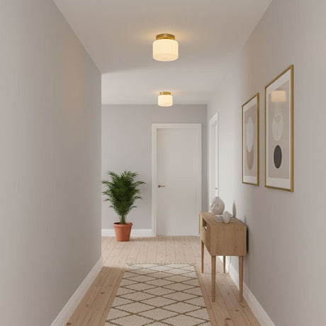 Brass and white glass ceiling light in a corridor with a tiled floor and a plant
