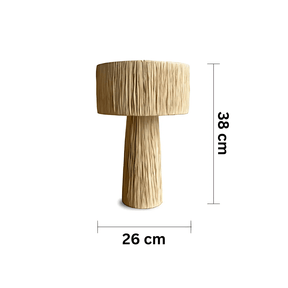 Single light table lamp for home office
