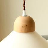 Alvara Brass Pendant Light dimensions and design detail | OroDwell