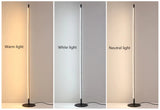 Minimal standing lamp for modern homes
