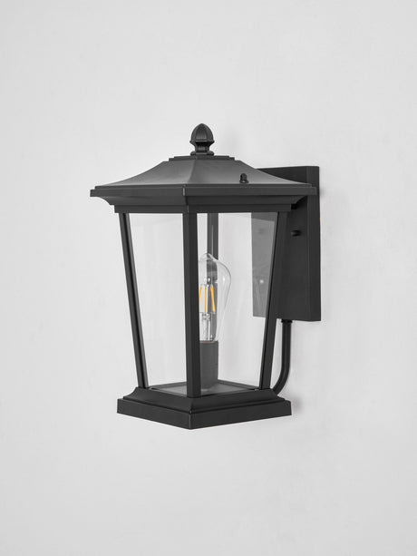 The black lantern with clear glass, the bulb visible inside