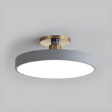 Gray drum ceiling light with a brass stem seen at an angle