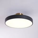 Black drum ceiling light lit against a pale backdrop