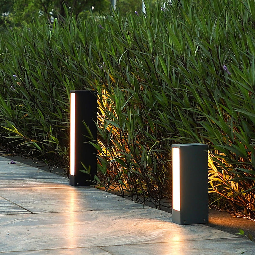 Two lit in front of tall grasses beside a paved garden walk at dusk