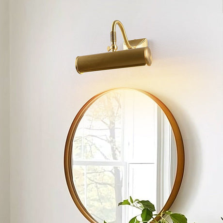 Brass tube lit above a round mirror with a trailing plant beside it
