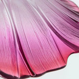 Close view of the pink petal folds showing the ribs running to the rim