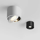 Ceiling Downlight for Living Room Decor OpalDwell