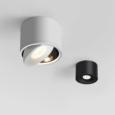 Ceiling Downlight for Living Room Decor OpalDwell