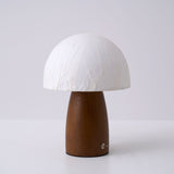 Mini table lamp seen straight on, paper dome above a walnut cone base