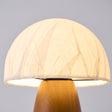 Close view of the crinkled paper dome lit from inside above the wood base