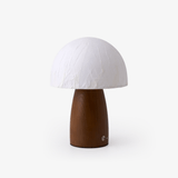 Mini table lamp with a white paper dome on a walnut base, plain background