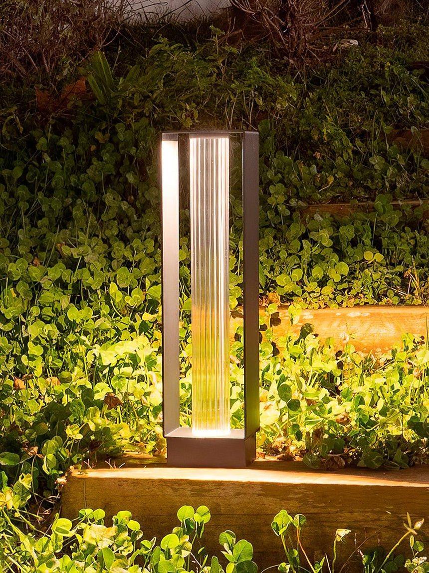 The body lit at the edge of a raised bed with dense green planting