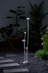 The cluster lit in a courtyard corner beside a low green border