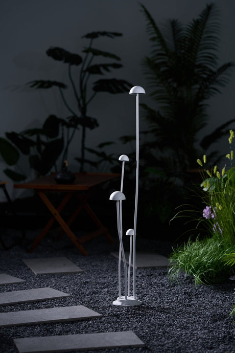 The cluster lit in a courtyard corner beside a low green border