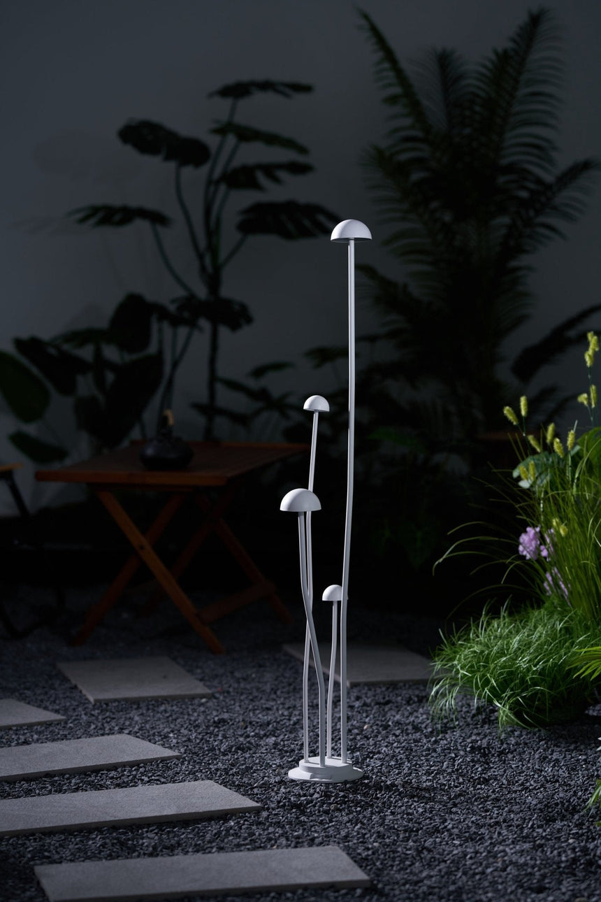 The cluster lit in a courtyard corner beside a low green border