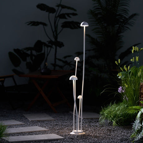 The cluster lit on gravel beside broad leaved foliage and a chair