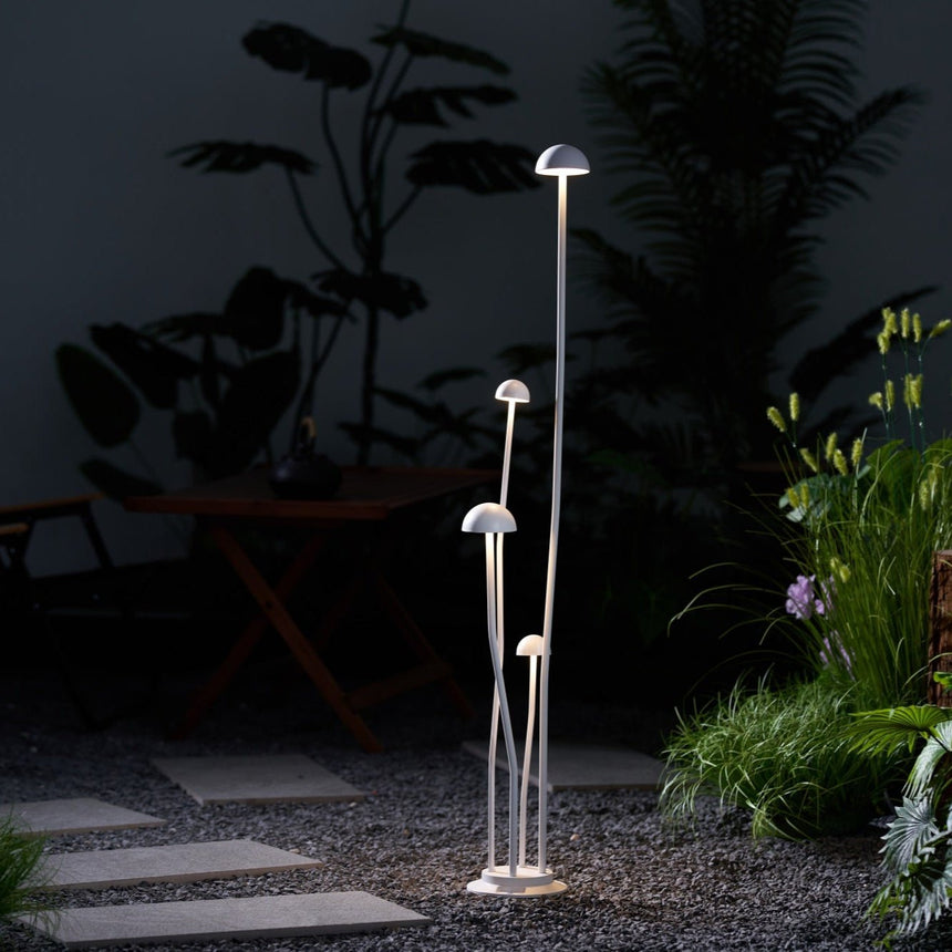 The cluster lit on gravel beside broad leaved foliage and a chair