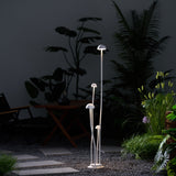 The stems lit beside stepping stones in a dark planted courtyard