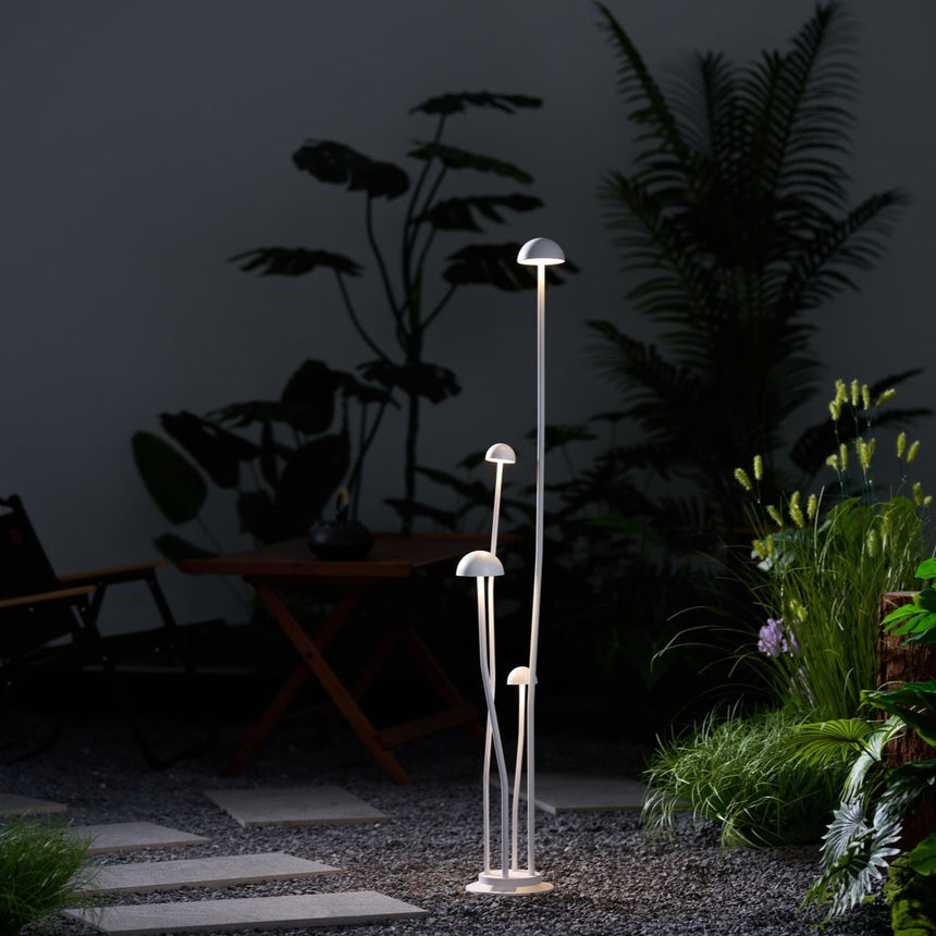 The stems lit beside stepping stones in a dark planted courtyard
