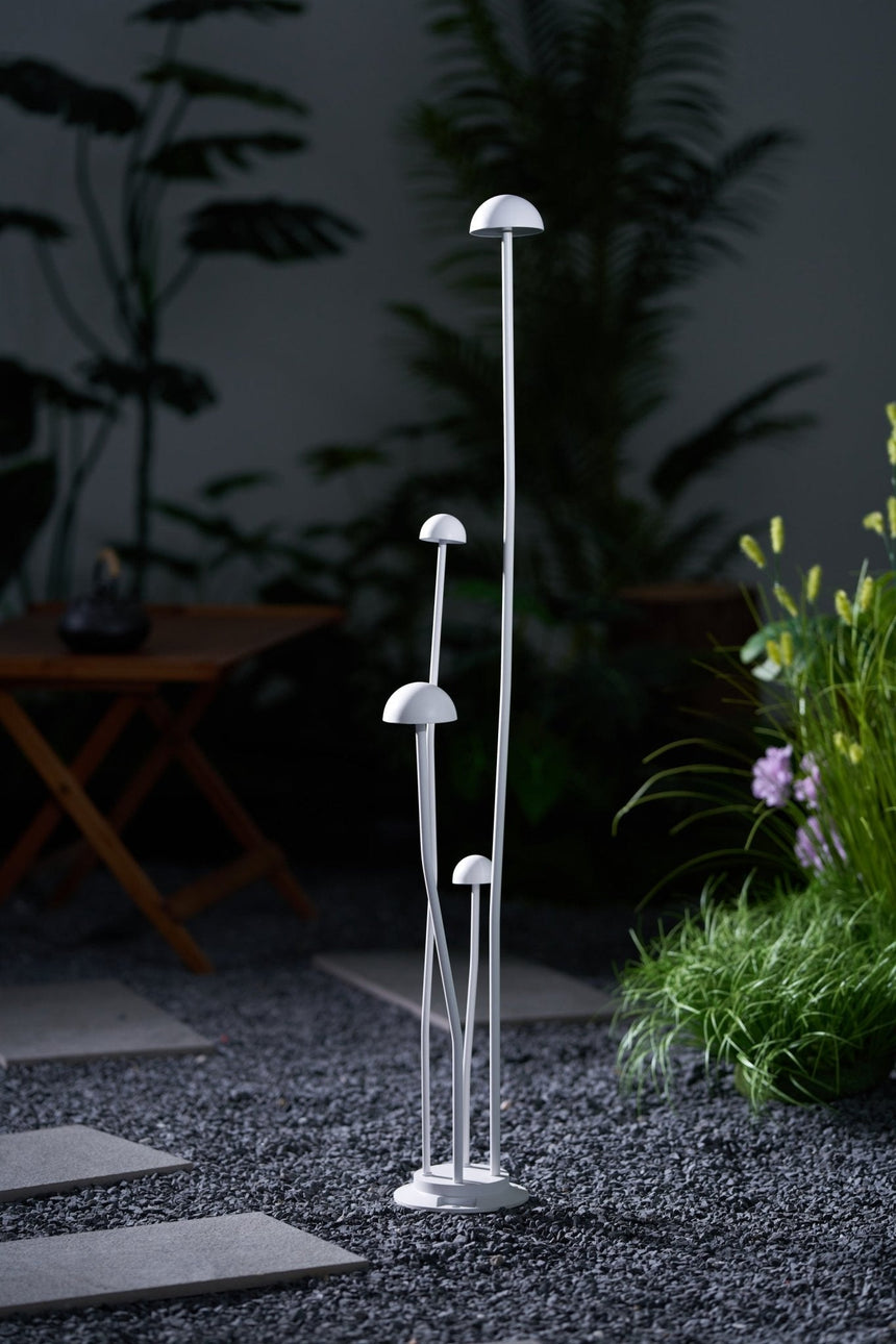 The tallest cap lit above the shorter ones against dark planting