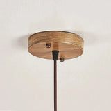 Resin Pendant Light for Bedroom