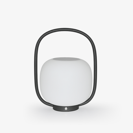 White globe diffuser held inside a black arch handle on a small base