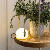 Hung by its ring from a shelf beside trailing green foliage