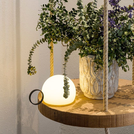 Hung by its ring from a shelf beside trailing green foliage