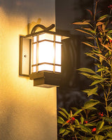 The lantern lit warm on a wall above a shrub with red berries