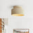 Luminara Ceiling Light Additional Product Angle
