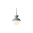 The gray and light blue version shown against a pale background