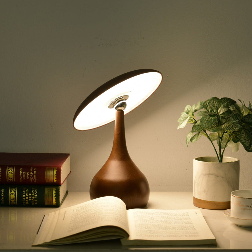 Portable table lamp lit in a dark room over books