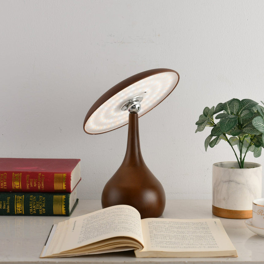 Portable table lamp lit over an open book and a plant