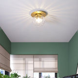 Globe Ceiling Light with Metal Plate Full View