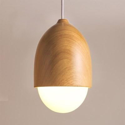 Moon Design Pendant Light for Home Interior