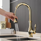 Extendable Faucet Additional View
