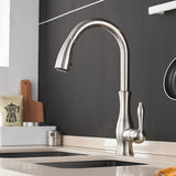 Stainless Steel Faucet Spray Head Detail