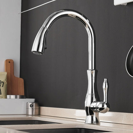Kitchen Faucet Close Detail View