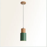 Lyra Hanging Lamp – Matte Plastic Shade Fixture