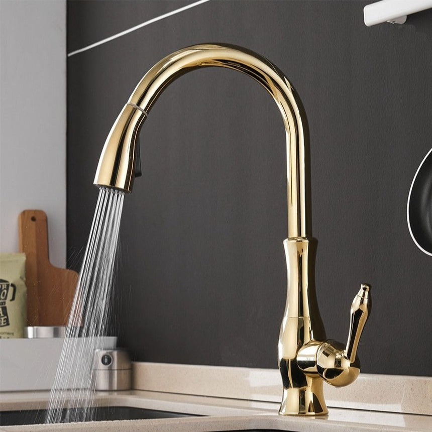 Stainless Steel Kitchen Faucet Detail Shot