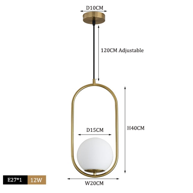 Eira Pendant Light in Black and Silver Finish