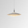 Abstract pendant light for statement decor