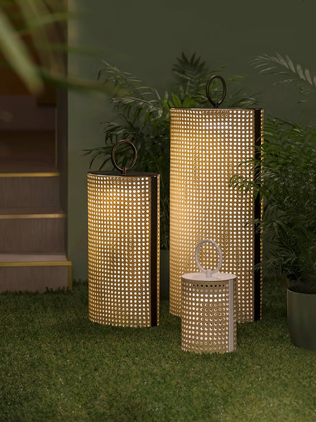 Two lanterns lit among garden planting against a dark hedge at night