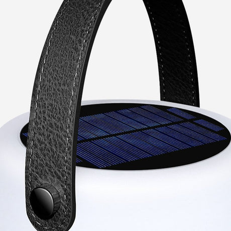 The leather strap and its stud fixing on the cell set into the lid