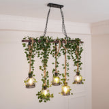 The beam lit in a pale room under a cornice, foliage hanging between the cages