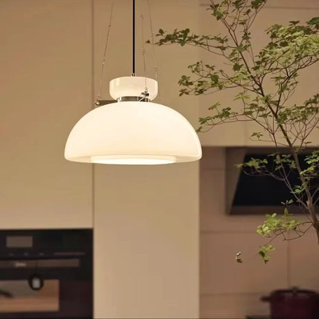 The cream dome lit above a kitchen counter beside a branch in a vase