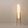 Floor Lamp Ambient Lighting