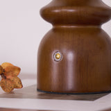 Close view of the color temperature button on the walnut foot